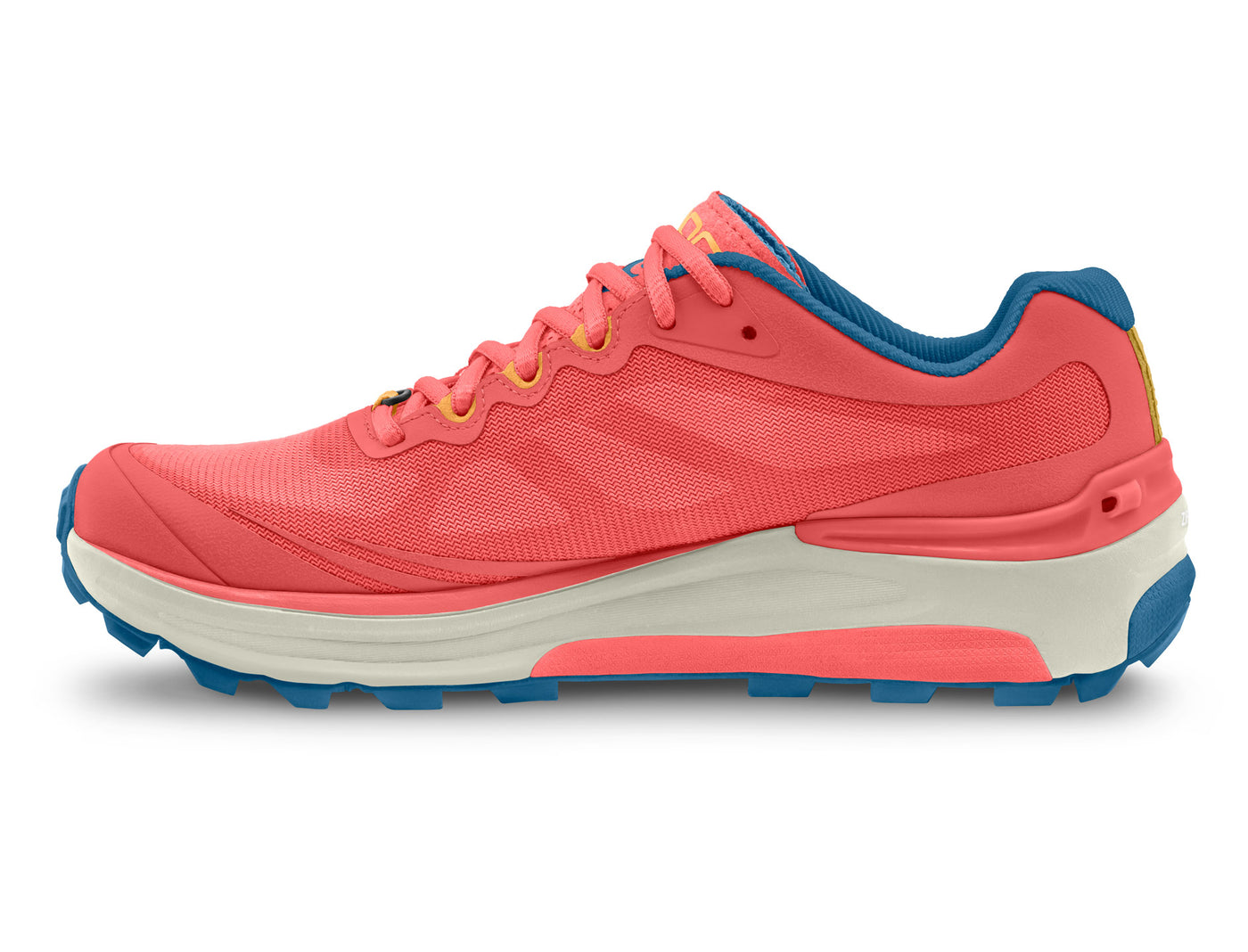 MTN Racer 2 (Final Sale)